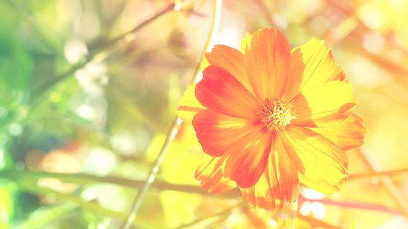 饿了么怎么邮箱注册