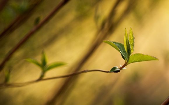 映秀镇地震遗址讲解