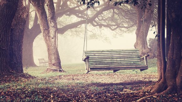 帮助的动词有哪些