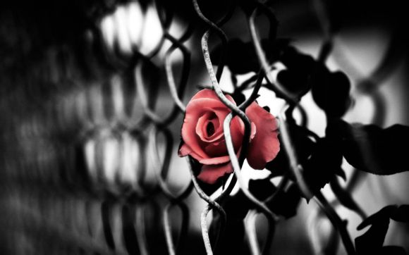 怎么办社保卡省卡