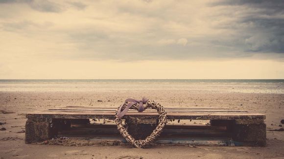 庆云市里有多少人