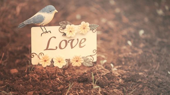 河南早餐什么招人