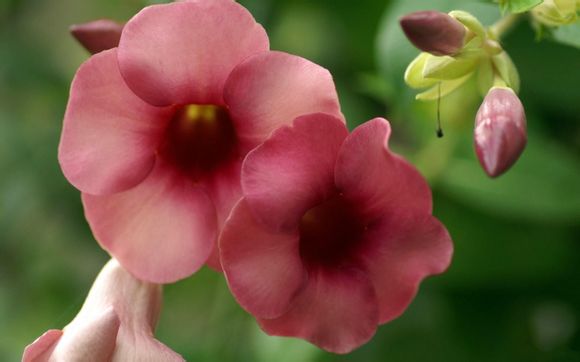 广东惠州有哪些石场