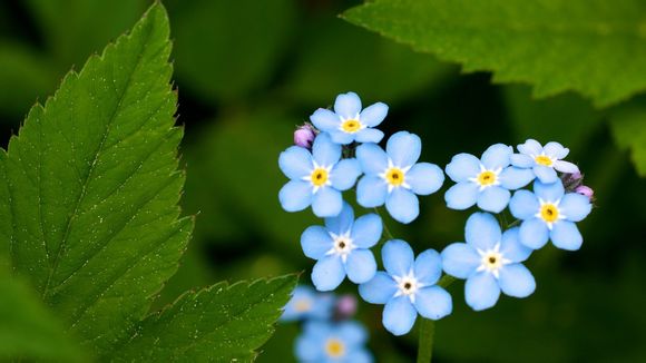 广州到海口飞机票哪里便宜