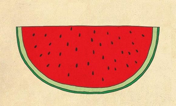 中金诺怎么样