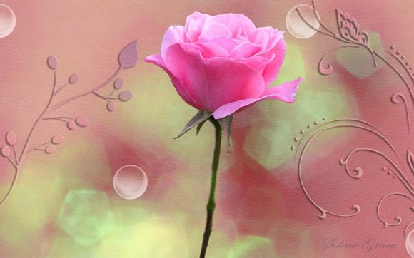 深圳 锦绣中华门票