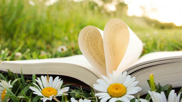 事业副科职位有哪些