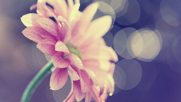 企业认同度怎么写