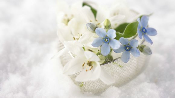 仿真物理实验室安卓版