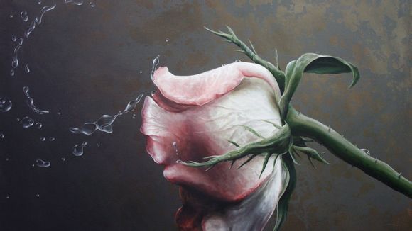 上海精进电动怎么样