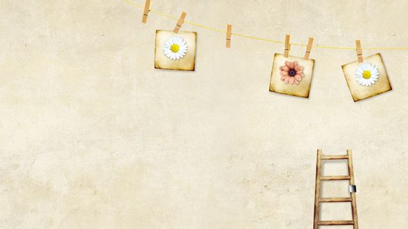 惠州中柏文具底薪多少