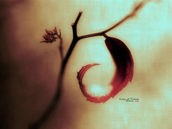 打工有什么屁用