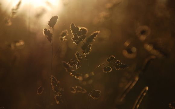 上海欢乐谷旅游攻略自驾游路线