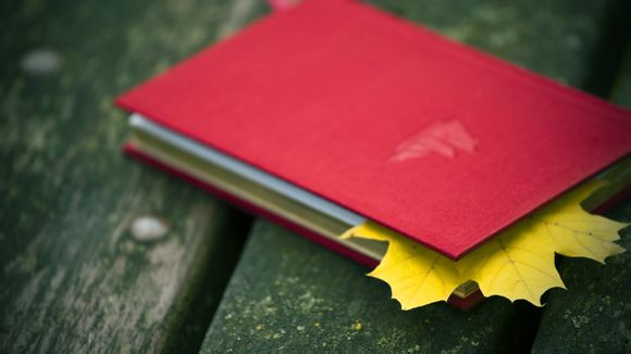 蓝色妖姬摄像头316