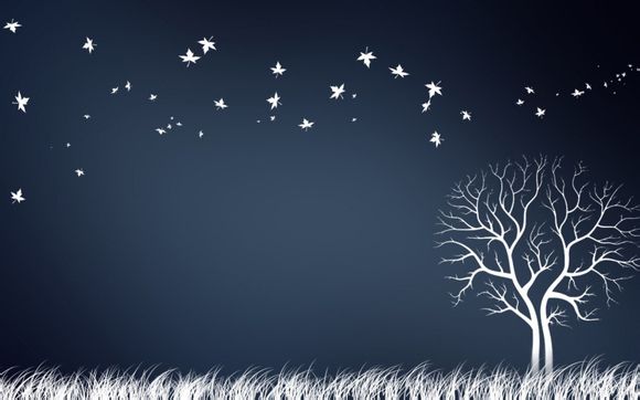 主力智业产品有哪些