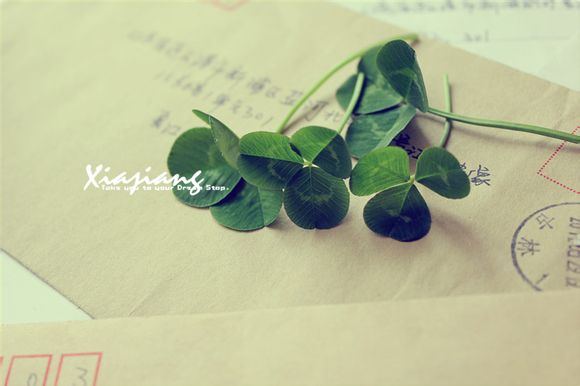 美体主要是做什么的