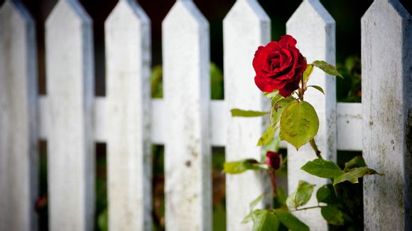 快乐书童怎么样