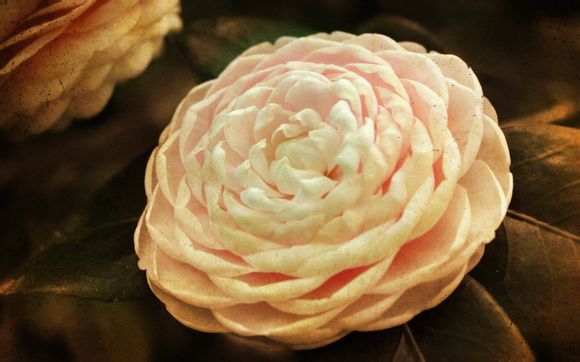 武汉周边旅游二日游推荐