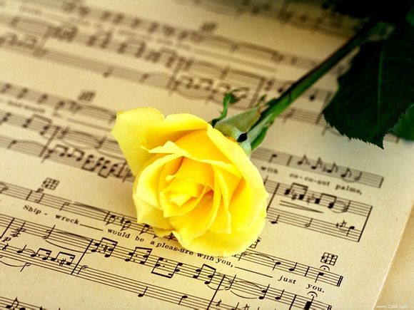 u盘格式化数据恢复软件