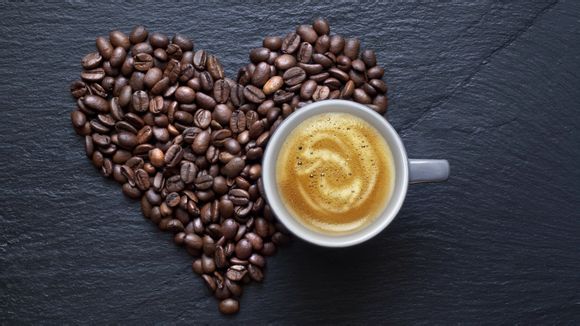 沈阳有什么港口