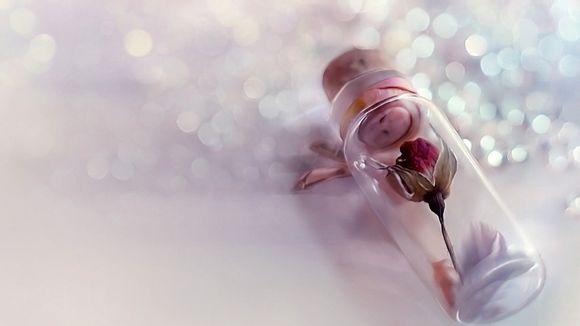 社保局如何查个人社保