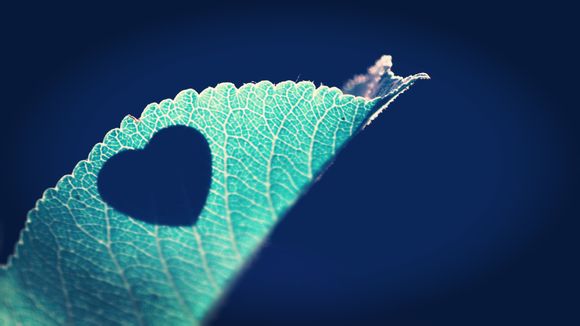 小米5手机怎么连接电脑传文件