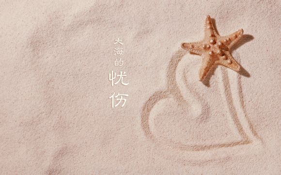 经理职称怎么填