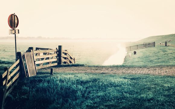 护士简历工作经验怎么写