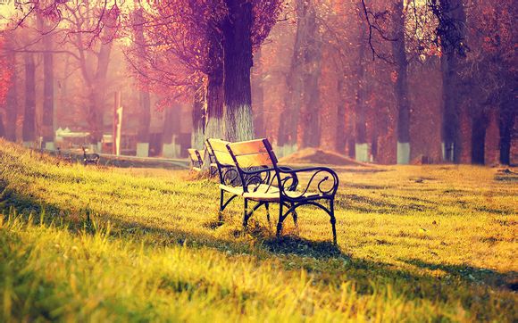 山西大学就业怎么样