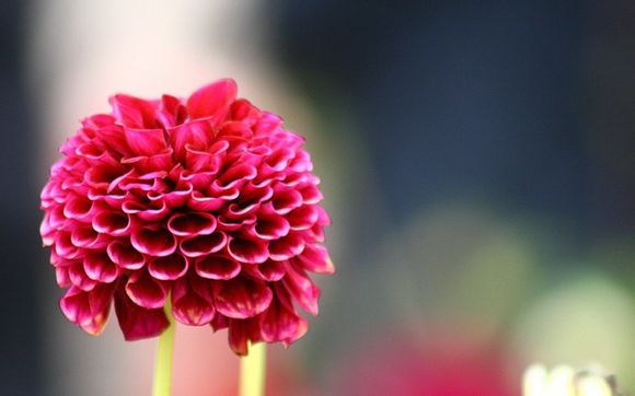 嵌入式消毒柜的正确安装方法