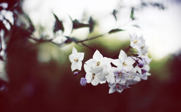 普通话什么时候报考