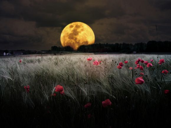 水月洞天哪里看免费