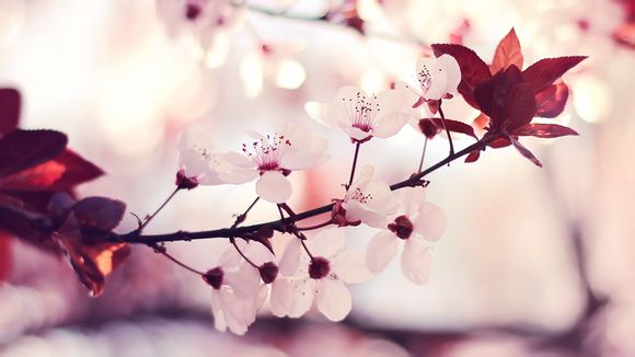 安徽省旅游景点大全