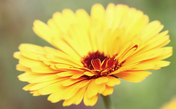 参观周邓纪念馆心得体会100字小学生