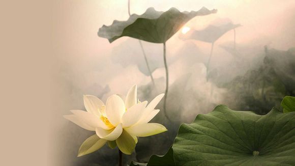 如何测电脑温度